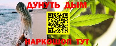 индика Кинель