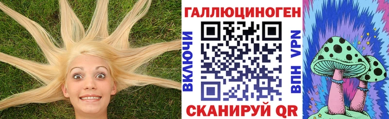 купить закладку  Георгиевск  Галлюциногенные грибы Psilocybine cubensis 