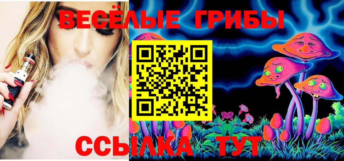 Галлюциногенные грибы Magic Shrooms Георгиевск