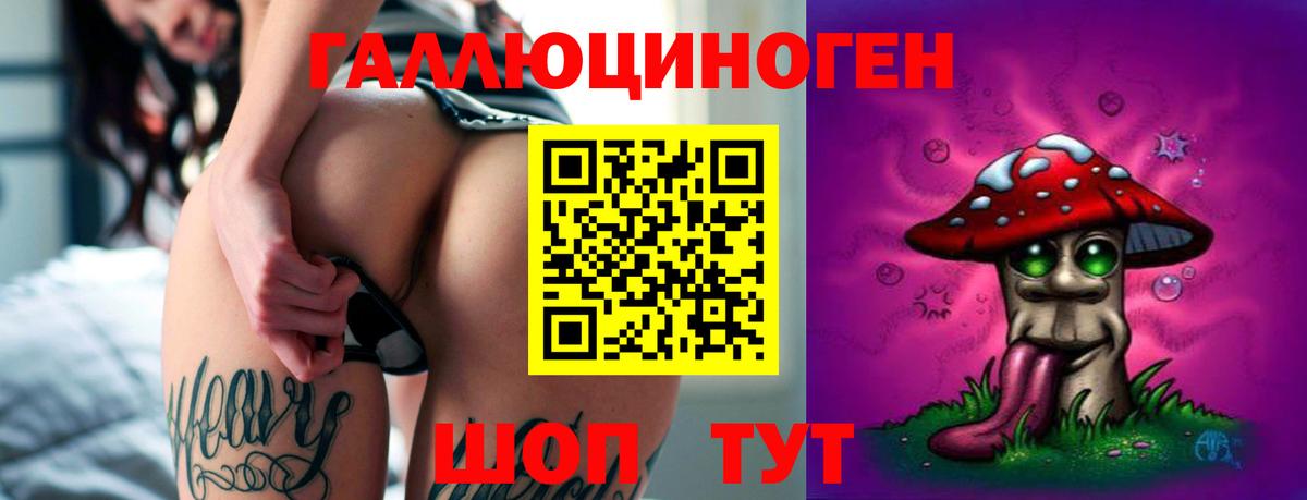 Галлюциногенные грибы GOLDEN TEACHER  Вход с VPN  Георгиевск 