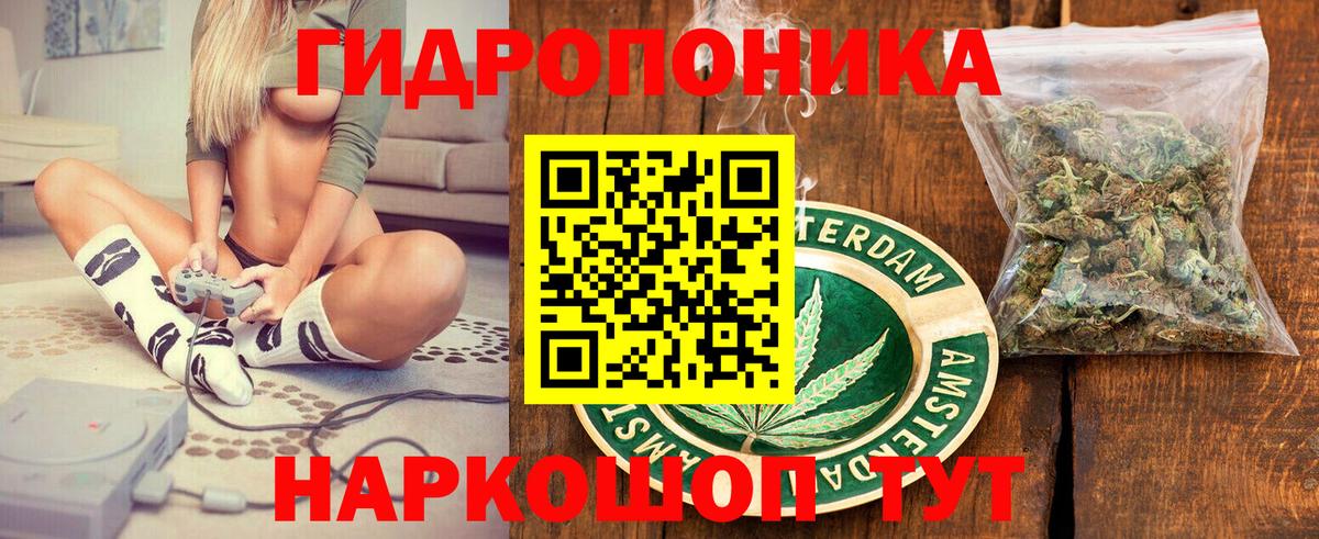 Марихуана индика  Шишки марихуана планчик  Георгиевск 